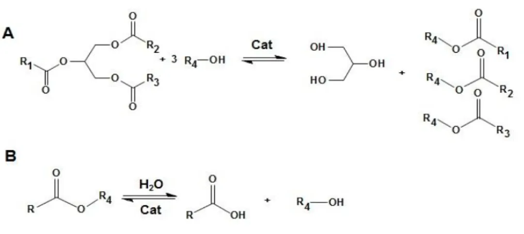 Figura 4: A Reação simplificada da transesterificação de triacilglicerídeo para a obtenção de  monoalquilester