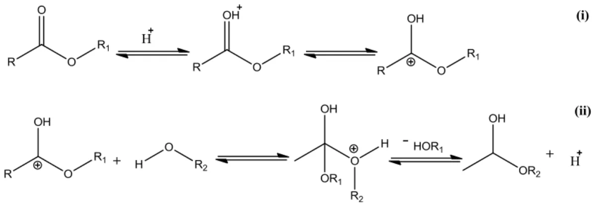 Figura 5: Esquema geral da reação de transesterificação ácida de Brönsted. 28,35 