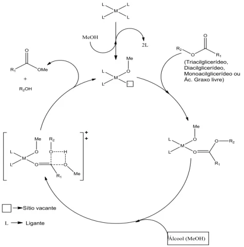 Figura  7:  Mecanismo  de  esterificação  e/ou  transesterificação  do  triacilglicerídeo  utilizando  catalisador metálico com sítio ácido de Lewis