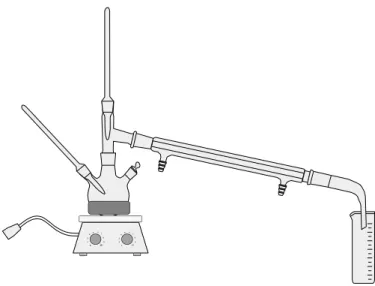 Figura 14: Sistema utilizado para as reações de craqueamento térmico dos óleos. 