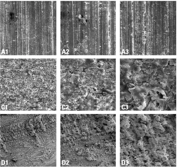 Figure  4,  increases  in  roughness  also  increase  shear  bond  strength.  This  finding  is  in   agree-ment with results achieved using the  mechani-cal inter-locking bonding mechanism