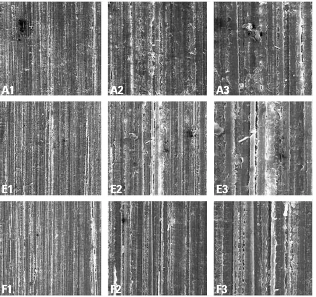 FIGURE 7 - Acrylic resin surface topography. A = Group 1 (Control), E = Group 7 (Hydrofluoric acid), F = Group 9 (Phosphoric acid).