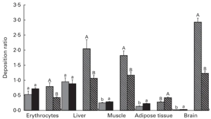 Fig. 2. Deposition ratios of EPA and DHA in the erythrocytes, liver, longissi- longissi-mus dorsi longissi-muscle, retroperitoneal adipose tissue and brain of Wistar rats fed graded levels of canned sardines: low sardine (LS, 11 % (w/w) in the diet) and hi