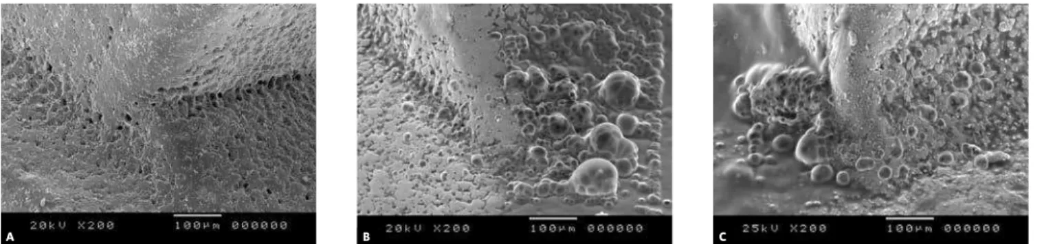 Figure 1 - Superficial aspects of the transition area between body and base of steel alloy with low nickel concentration brackets (magnification of 200x)