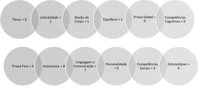 Figura 7 - Avaliação Inicial Grelha de Observação Psicomotora a critério