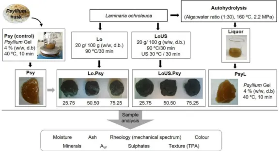 Figure 1. General schematic procedure of the gel preparation and analysis (Lo—Laminaria ochroleuca; 