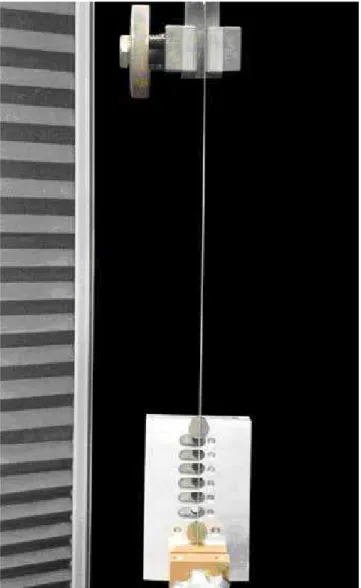 Figure 1 - Device with guiding slots at both ends.