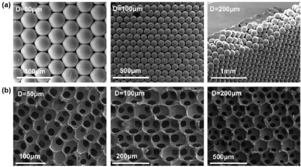Figure 2.2 - SEM images of (a) high periodicity colloidal crystals and (b) its respective inverted colloidal  crystals, produced with polyacrylamide (adapted from [15])