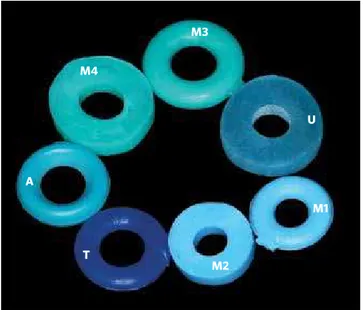 Figure 1 - Separating elastics evaluated in this study: A (green modular,  American Orthodontics), M1 (blue, modular, Morelli), M2 (blue, in bulk,  Morelli), M3 (green, modular, Morelli), M4 (green, in bulk, Morelli), U  (blue, in bulk, Uniden) and T (blue