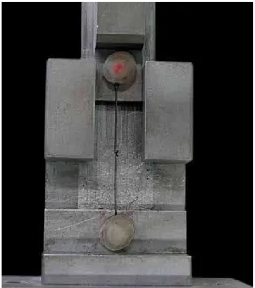 Figure 1 -  Device in stainless steel used to attach the ligatures during tests.