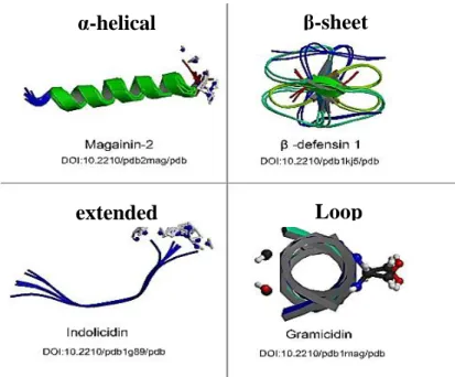Fig. 3: Protein models representing the four structural classes of AMPs (withdrawn from Bahar 