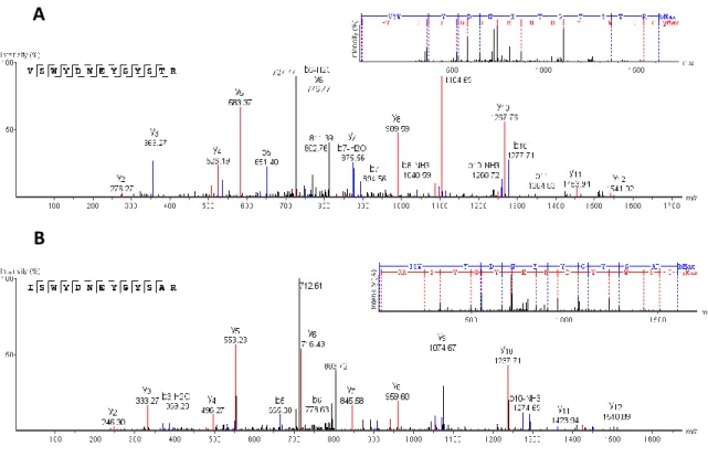 Fig.  2:  Mass  spectrometry  spectra  (MS/MS)  of  the  two  main  peptides  (double  charged)  found  and  validated  in  each  of  the  anionic  fractions  obtained  by  anion-exchange  chromatography  (fractions  II-A,  II-B  and  IIC  indicated  in  F