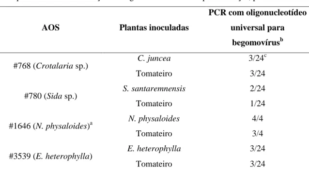 Tabela  4.  Detecção  de  begomovírus,  por  reação  em  cadeia  da  polimerase  (PCR),  em  plantas invasoras e de tomate após a primeira inoculação dos isolados virais, presentes  em quatro amostras da coleção de begomovírus da Embrapa Hortaliças, por bi