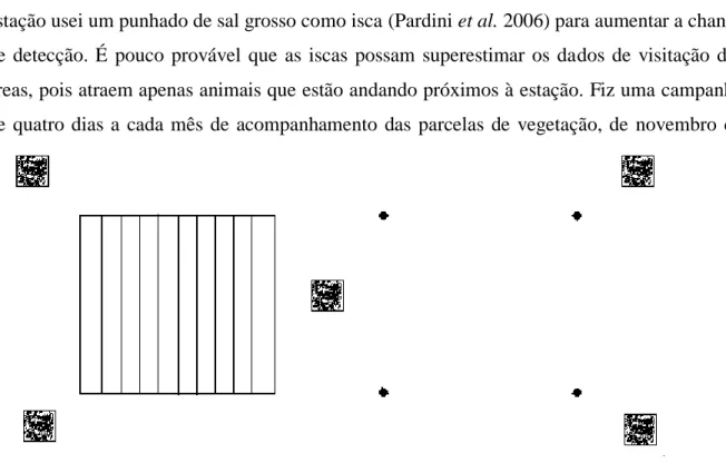 Figura  5:  Posicionamento  das  estações  de  pegada  (quadrados  sombreados)  ao  redor  das  parcelas de exclusão (hachurada) e controle (pontos pretos) no Parque Nacional das Emas,  Goiás