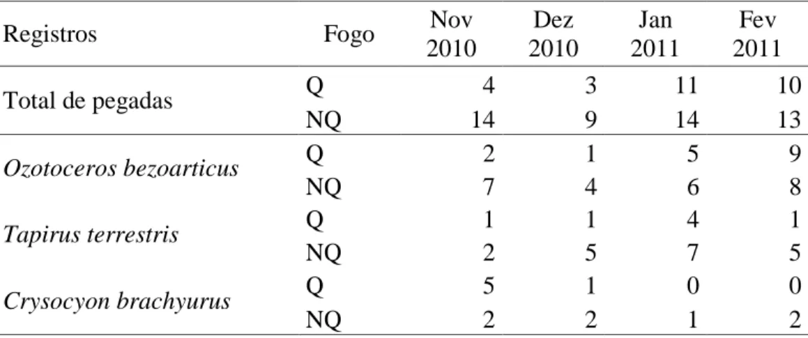 Tabela 2: Número total dos registros de pegada dos herbívoros de médio e grande porte e  separados de acordo com as espécies mais abundantes, veado-campeiro (O