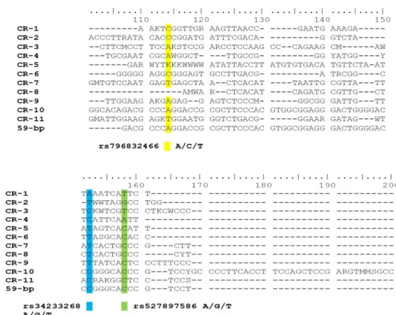 Figura 10: Variantes do gene hTERT, obtidas através do sequenciamento das amostras  