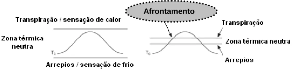 Figura 6. Fisiopatologia dos afrontamentos. 