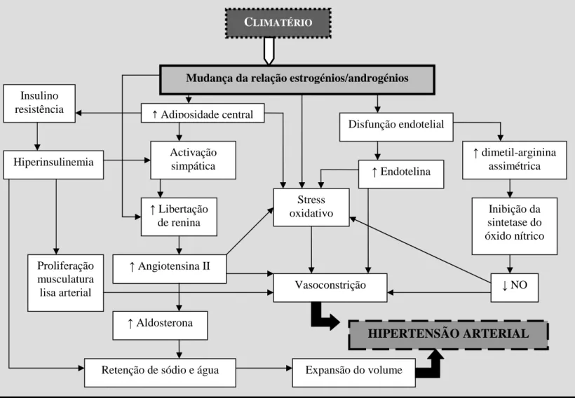 Figura 8.  Climatério e hipertensão - mecanismos subjacentes. 