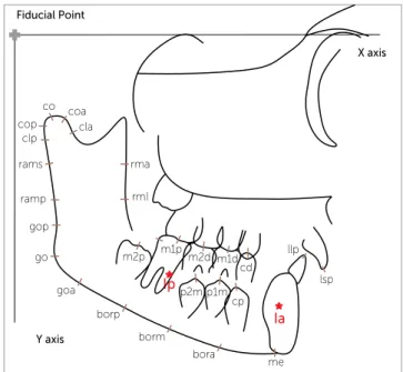 Figure 1 - X axis represented by the horizontal line formed by the orbital plane  determined on the initial radiograph (T 1 ), transferred to the subsequent  radio-graphs through the superposition of metallic implants
