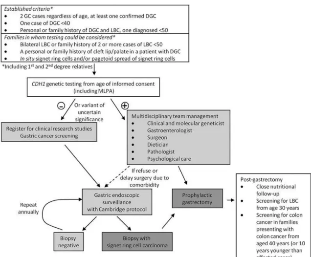 Figure 2 - Algorithm for testing criteria and management of HDGC patients. (Adapted from van der Post, RS