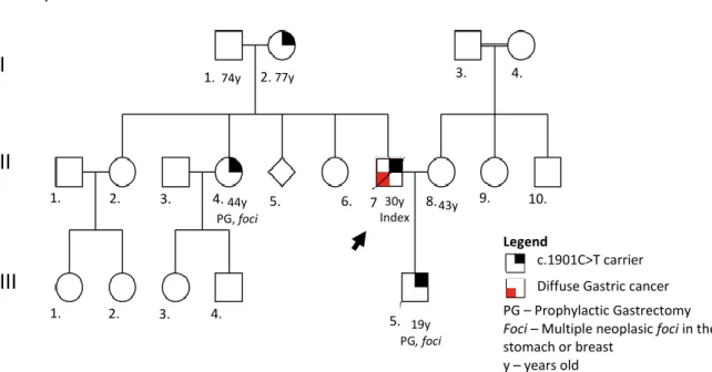 Figure 5 - Pedigree of family A. In this pedigree information has been added regarding: presence of mutation in the  germline; histological type of clinical disease presentation; risk reduction surgery; presence of foci in the risk reduction  surgical spec