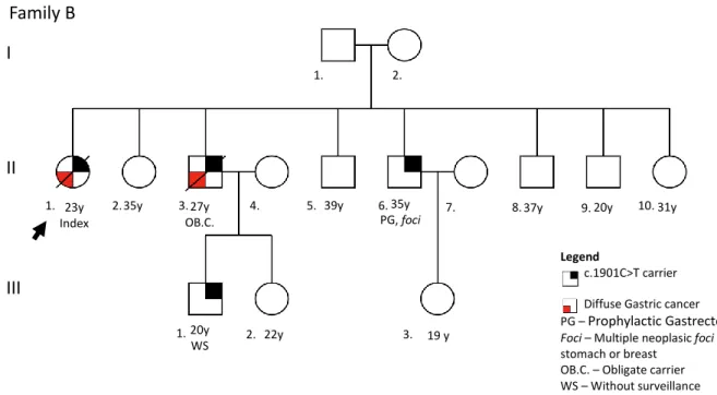 Figure 6 - Pedigree of family B. In this pedigree information has been added regarding: presence of mutation in the  germline; histological type of clinical disease presentation; risk reduction surgery; presence of foci in the risk reduction  surgical spec