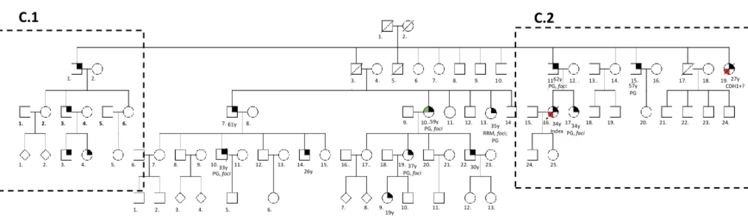 Figure 7 - Pedigree of family C. In this pedigree information has been added regarding: presence of mutation in the  germline; histological type of clinical disease presentation; risk reduction surgery; presence of foci in the risk reduction  surgical spec