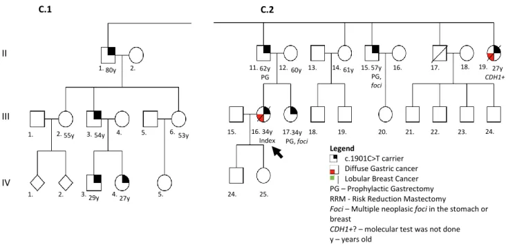 Figure 8 - Pedigree of family C. Close-up of the C.1 and C.2 branches, members used in the haplotyping study