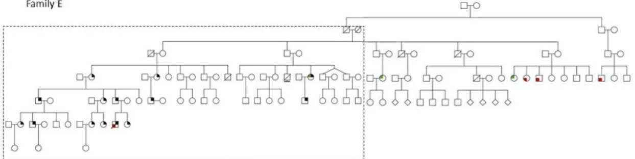 Figure 10 - Pedigree of family E. Information in the close-up of Figure 11.