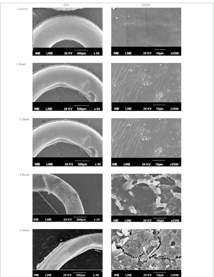 Figure 3 - SEM surface morphology photomicrographs (electron secondary image). Control group: The supericial smoothness of the elastomer; 