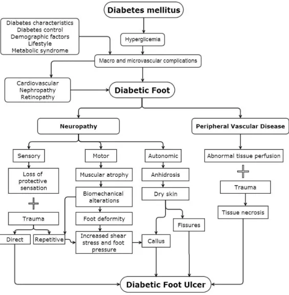 Figure 1. Diabetic foot ulcer pathophysiology  