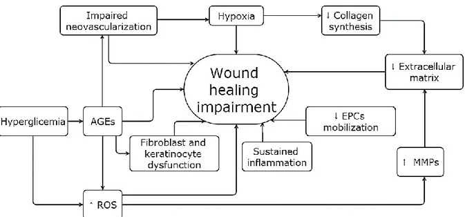 Figure 2. Healing impairment mechanism in the diabetic foot  