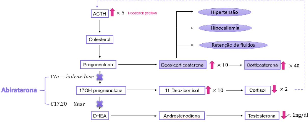 Figura 2 - Mecanismo de ação da abiraterona. [Adaptado de (41)]  