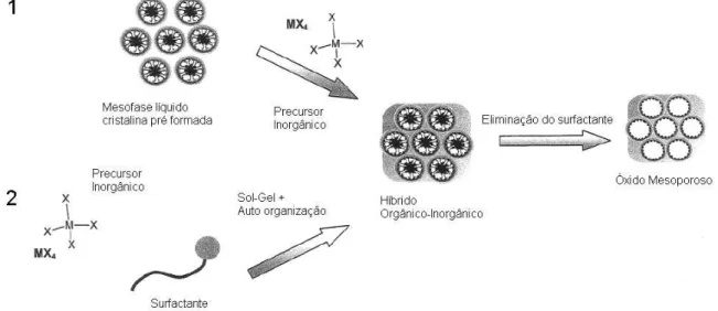 Figura 7 - Representação esquemática do mecanismo LCT.   Adaptado de SOLER-ILLIA et al., 2002