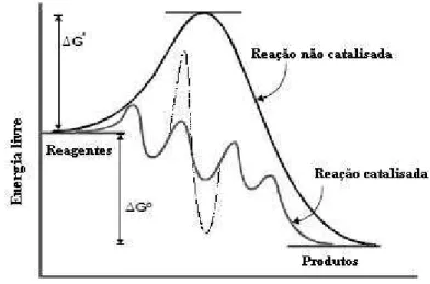 Figura 1: Comparação entre as reações catalítica e não-catalítica. 