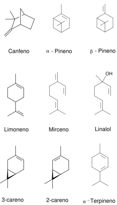 Figura 4: Alguns compostos monoterpênicos. 