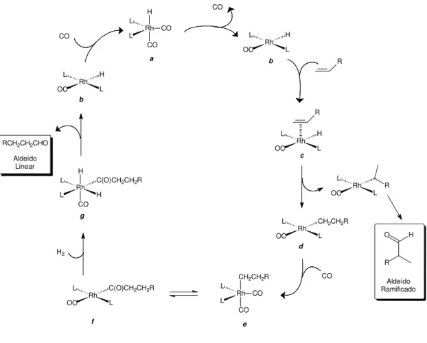 Figura 5: Mecanismo dissociativo proposto para a reação de hidroformilação. 