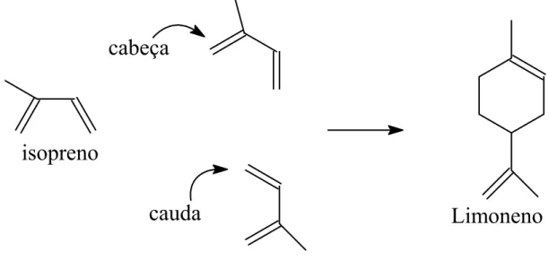 Figura 4: Representação da formação estrutural do limoneno. 
