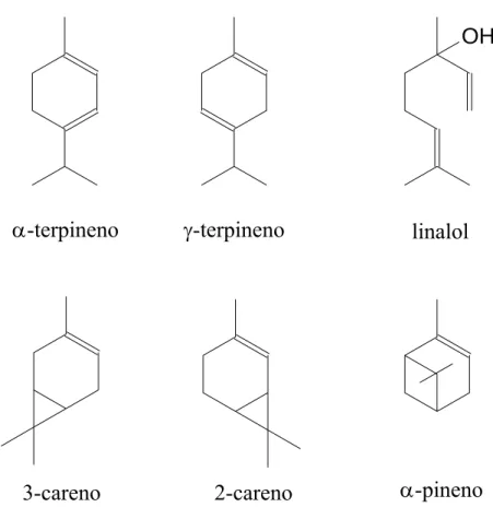Figura 5: Alguns compostos monoterpenicos. 