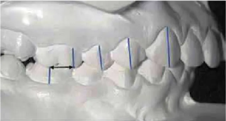 Figure 1 - Molar relationship measurement.