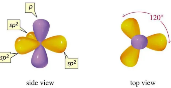 Figure 1.3: Illustration of the sp 2 hybridized orbitals. The sp 2 orbitals lie in the x-y plane forming