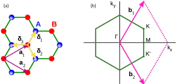 Figure 1.4: In (a): direct lattice with primitive vectors ~a i and first neighbours ~δ i 