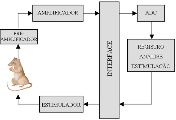 Figura 5 - Diagrama de blocos do sistema de registro e do estimulador elétrico. 