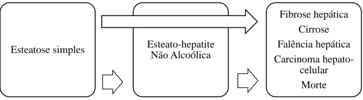 Figura 3 História natural da Doença de Fígado Gordo Não Alcoólico 
