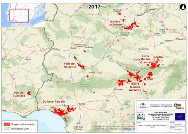 Figura 4: Distribuição das populações de lince ibérico em 2017 (Mata, 2017). 
