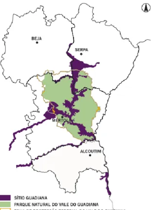 Figura 5: Estatuto de proteção da área de intervenção do Plano de Gestão do Vale  do Guadiana (Cardoso et al., 2008)