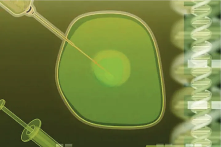 Figure 5 - Gene therapy. Delivering a gene to a given cell allows the inserted  gene product to be expressed constitutively.