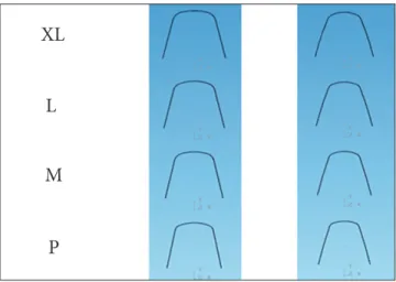 Figure 6 - Diagram for the maxilla and mandible.