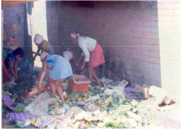 Figura 14. Moradoras da favela Cabeça de Porco, recolhendo restos de “sacolão” do Bairro Savassi, Belo Horizonte, para alimentar porcos