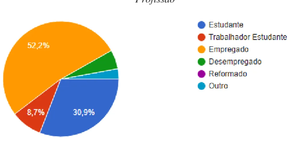 Figura 5- Distribuição percentual dos respondentes pelas profissões 